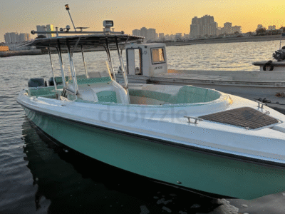 Sea master 31 feet
