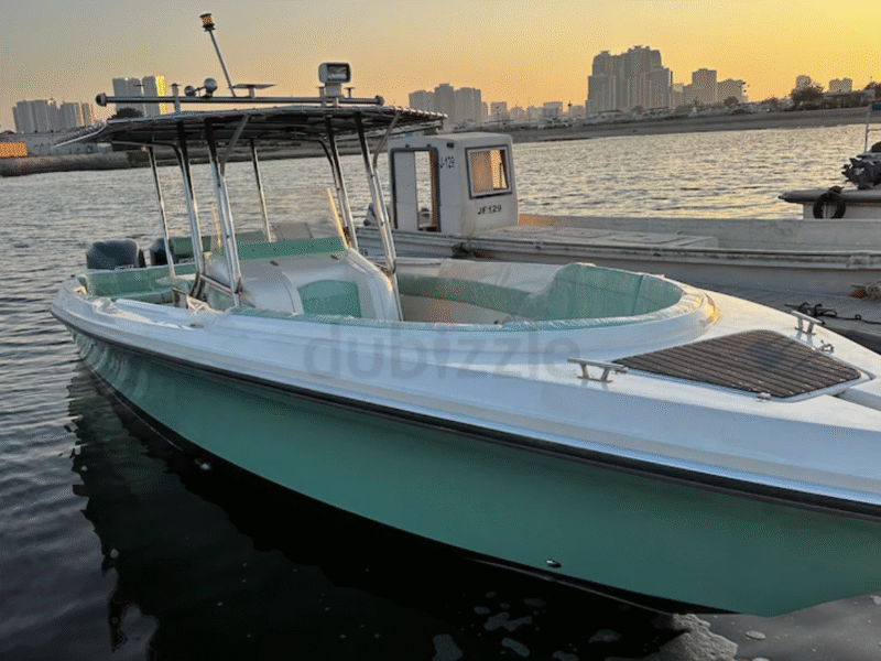 Sea master 31 feet