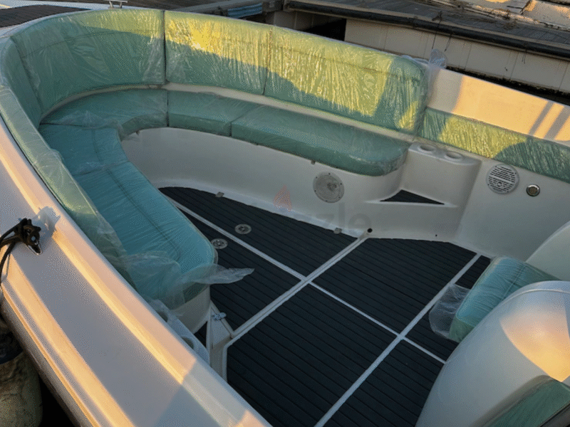 Sea master 31 feet