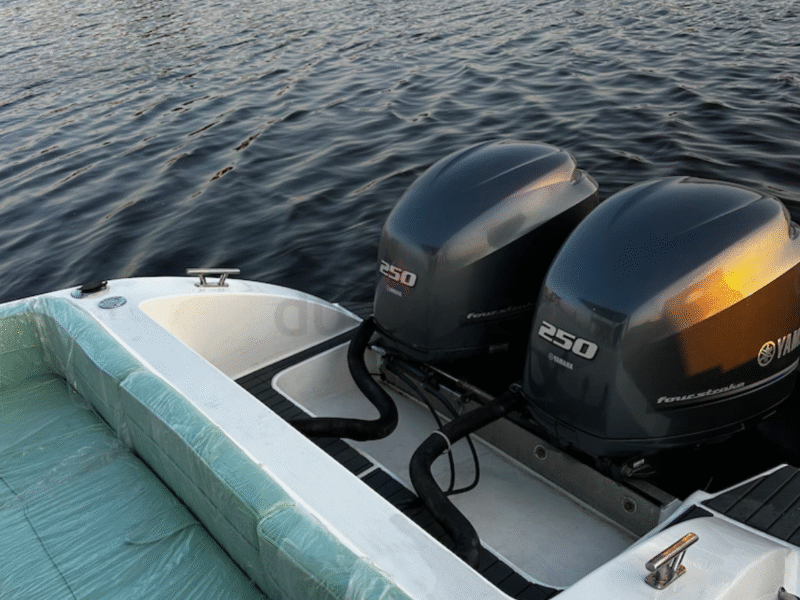 Sea master 31 feet