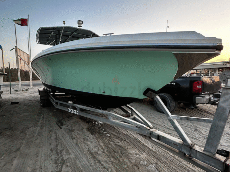 Sea master 31 feet