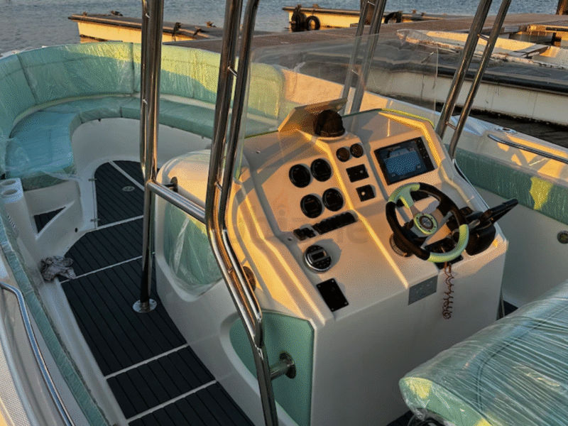 Sea master 31 feet