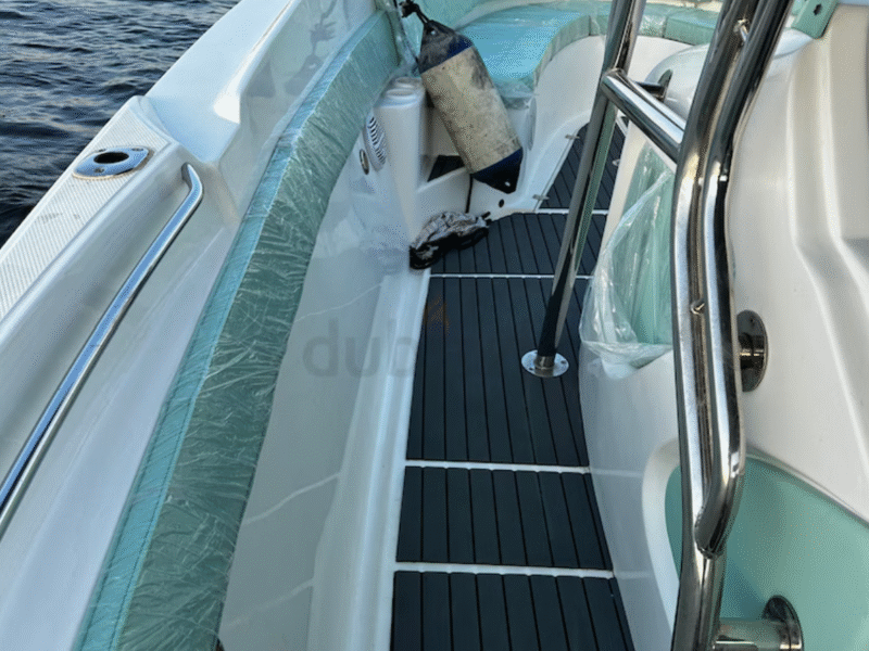 Sea master 31 feet