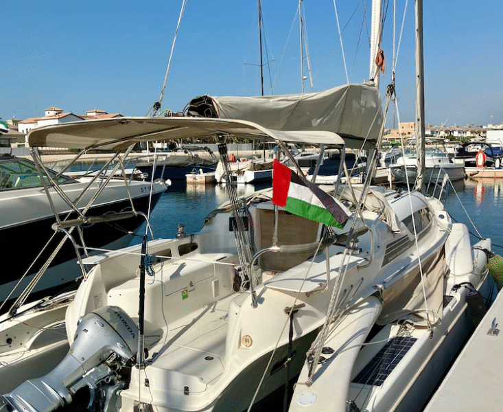 DRAGONFLY 28 PERFORMANCE - 2019