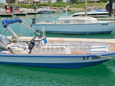 4.5 MTR 2019 Pleasure Powerboat with a 30HP Honda, and Additional 4.5HP 2strok backup engines