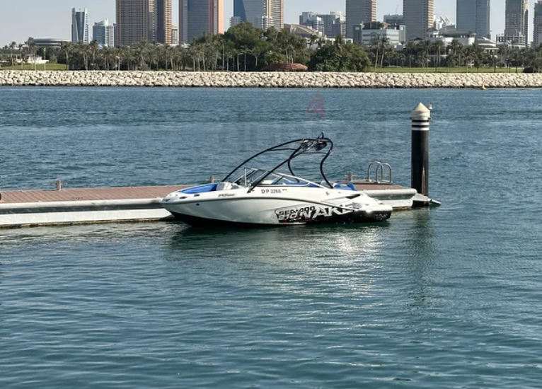 Seadoo Wake 210 2010 Jetboat