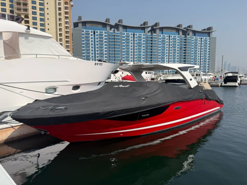 Sea Ray SDX350
