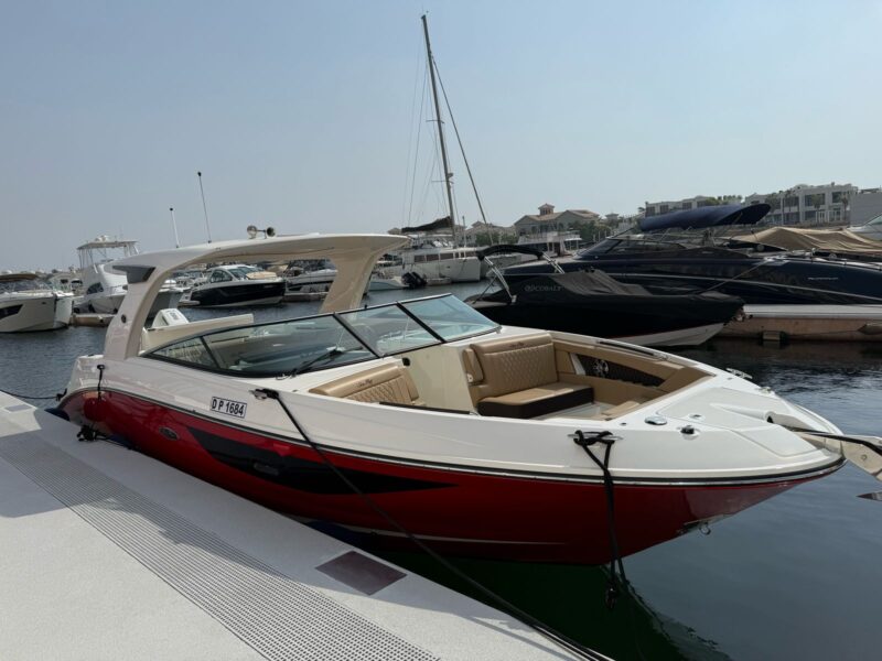 Sea Ray SDX350