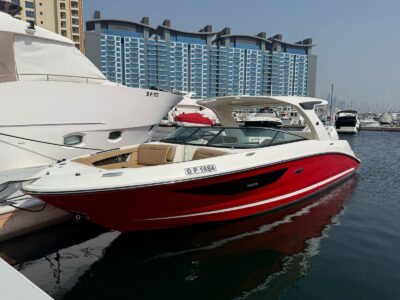 Sea Ray SDX350