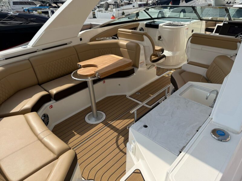 Sea Ray SDX350