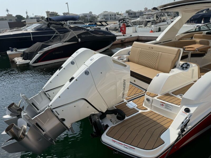Sea Ray SDX350