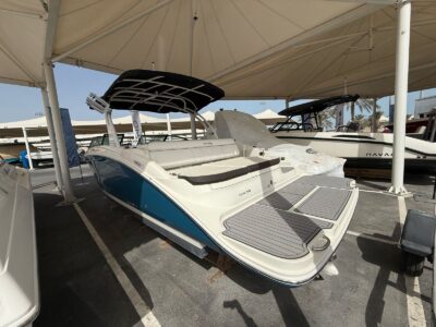 sea ray sdx270 / 2023