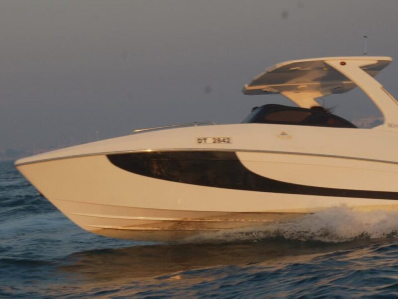 gulfshark boat