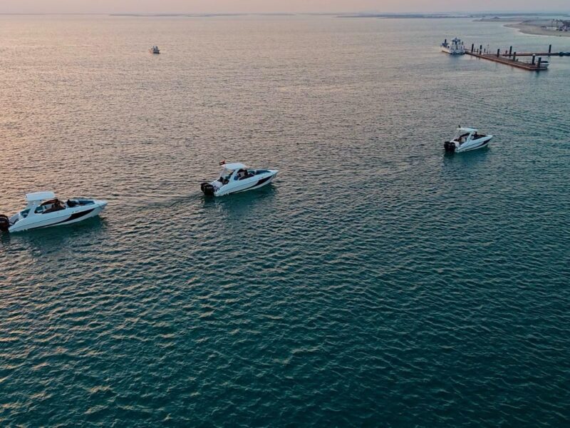 gulfshark boat
