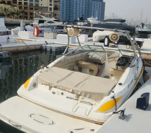 Larson 21 ft - 300 bhp