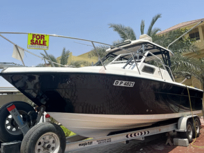 Pursuit 2600 twin 250 Yamahas