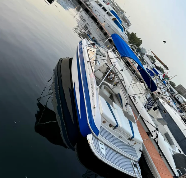 21 Ft American Glastron Boat