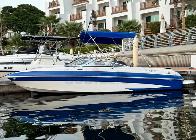 21 Ft American Glastron Boat