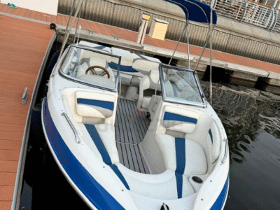 21 Ft American Glastron Boat