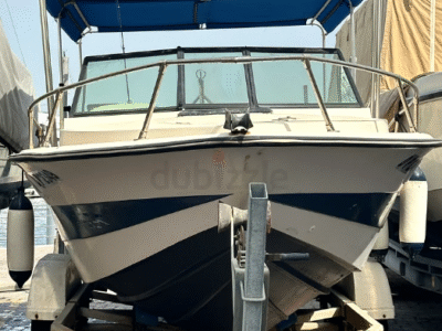 Amazing Boat for Recreation | Start the Engine and Drive