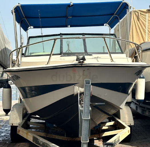 Amazing Boat for Recreation | Start the Engine and Drive