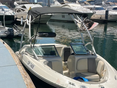 Sea Ray with perfect pass