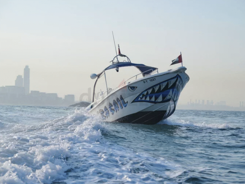 Parasailing Boat For Sale With Deisel Enigne And Fully Equipped