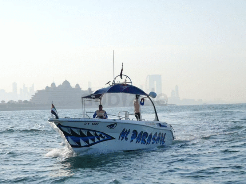 Parasailing Boat For Sale With Deisel Enigne And Fully Equipped