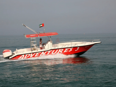 Dino 31 Fishing Diving Boat