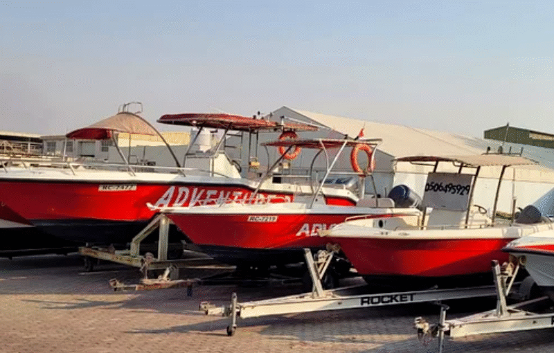 Dino 31 Fishing Diving Boat