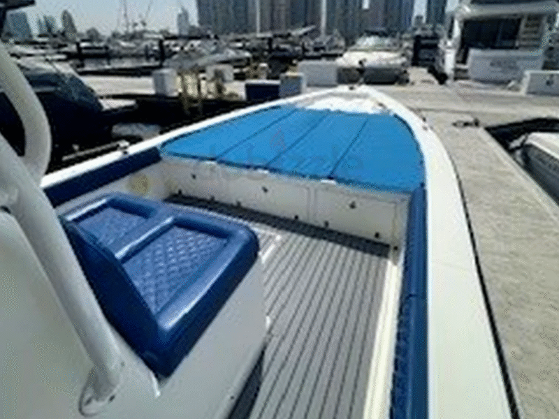 Pleasure Power Boat 38FT Nautic sports Cruise