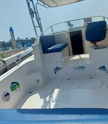 Al Shaali 33 Walk Around