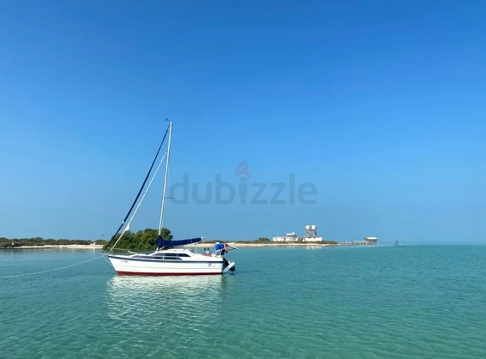 26 Foot Power Sailer Boat with Trailer made in USA