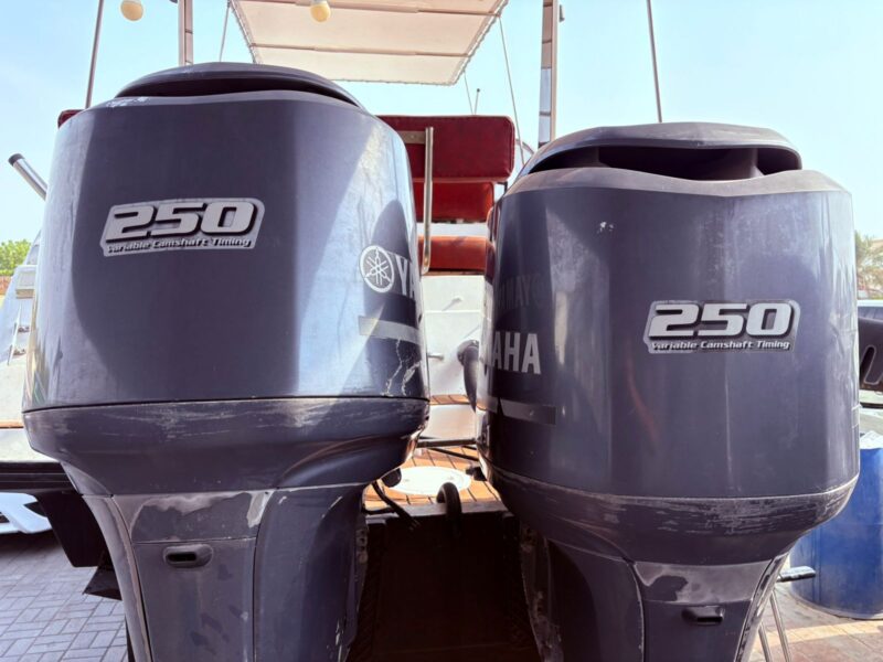 Carver Cruiser 30 feet