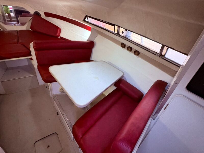 Carver Cruiser 30 feet