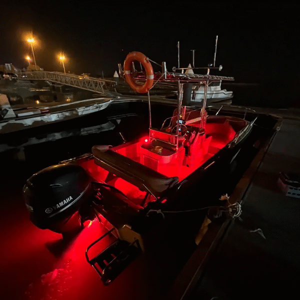 Boston Whaler Outrage