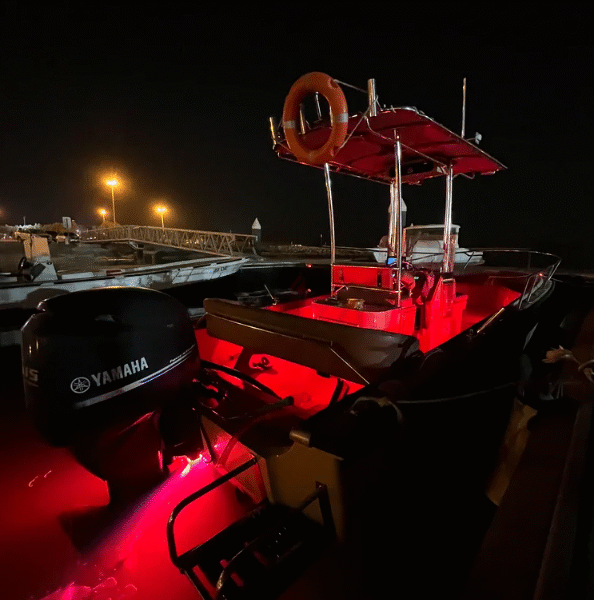 Boston Whaler Outrage