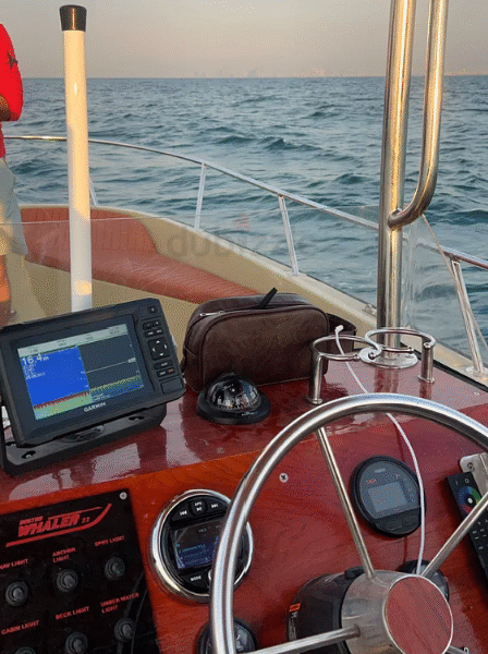 Boston Whaler Outrage