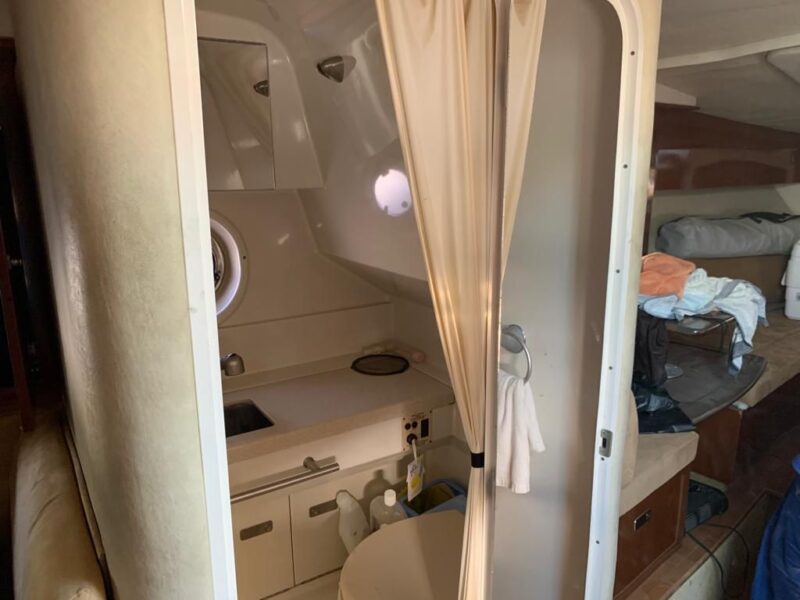 SeaRay Sundancer 310 + trailer URGENT SALE