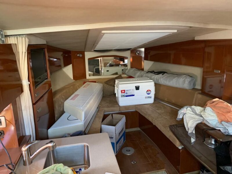 SeaRay Sundancer 310 + trailer URGENT SALE