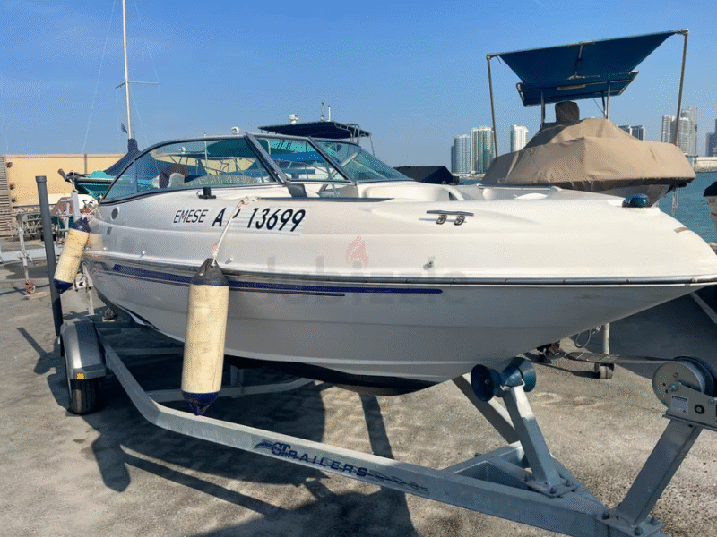 FIBRAFORT 19ft EVINRUDE 150 HP