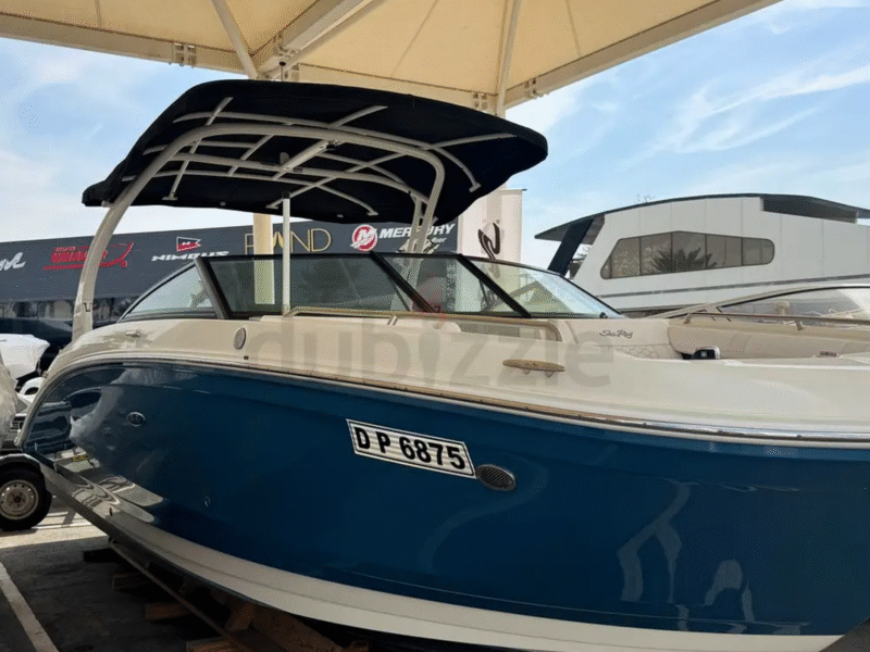 Sea Ray SDX 270