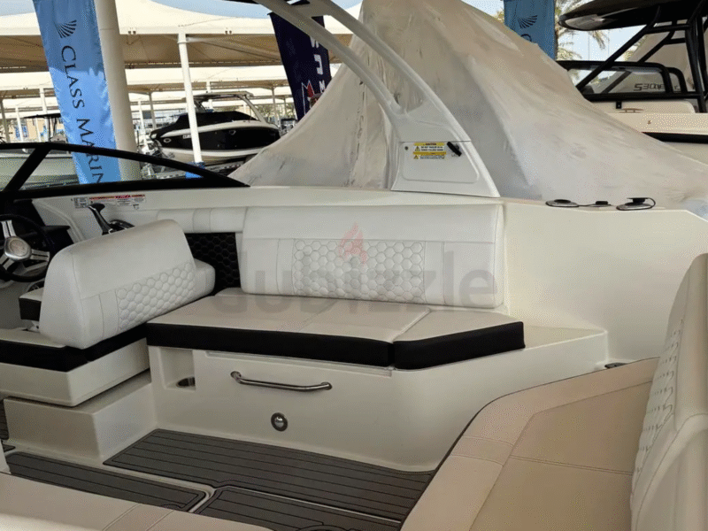 Sea Ray SDX 270