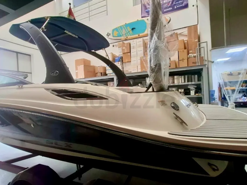 Sea Ray Model 210 SLX - 2015