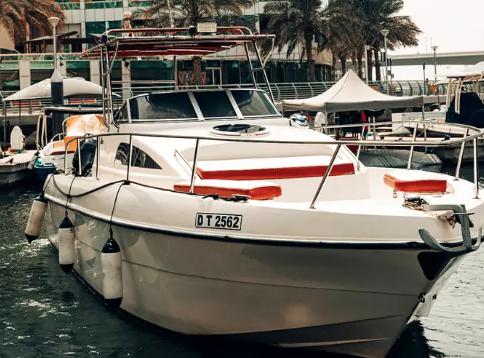 33FT Luxury Mini Yacht / Fishing Boat