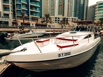 33FT Luxury Mini Yacht / Fishing Boat