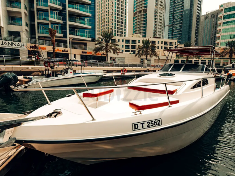 33FT Luxury Mini Yacht / Fishing Boat