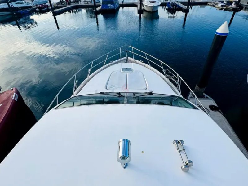 Majesty 56